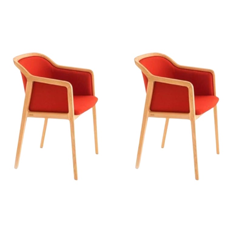 Set of 2, Vienna Soft Little Armchairs, Chili by Colé Italia For Sale