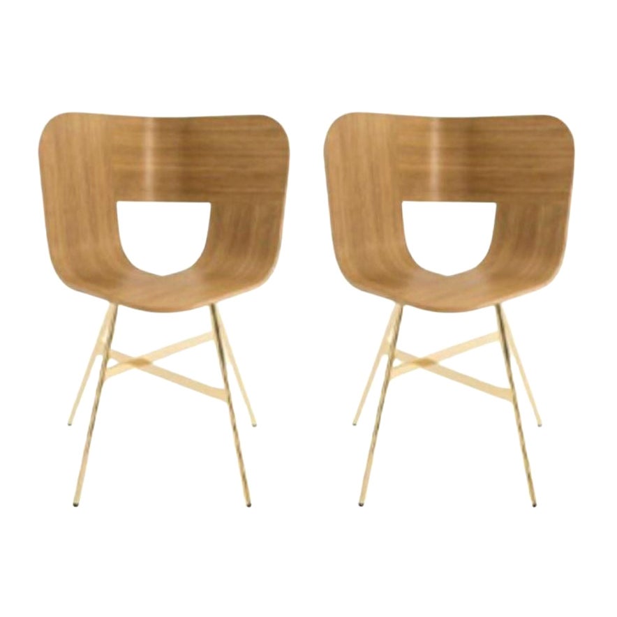 Set of 2, Tria Gold 4 Legs Chair, Natural Oak Seat by Colé Italia For Sale