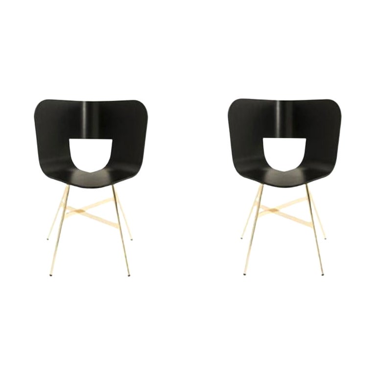 Set of 2, Tria Gold 4 Legs Chair, Black Open Pore Seat by Colé Italia For Sale