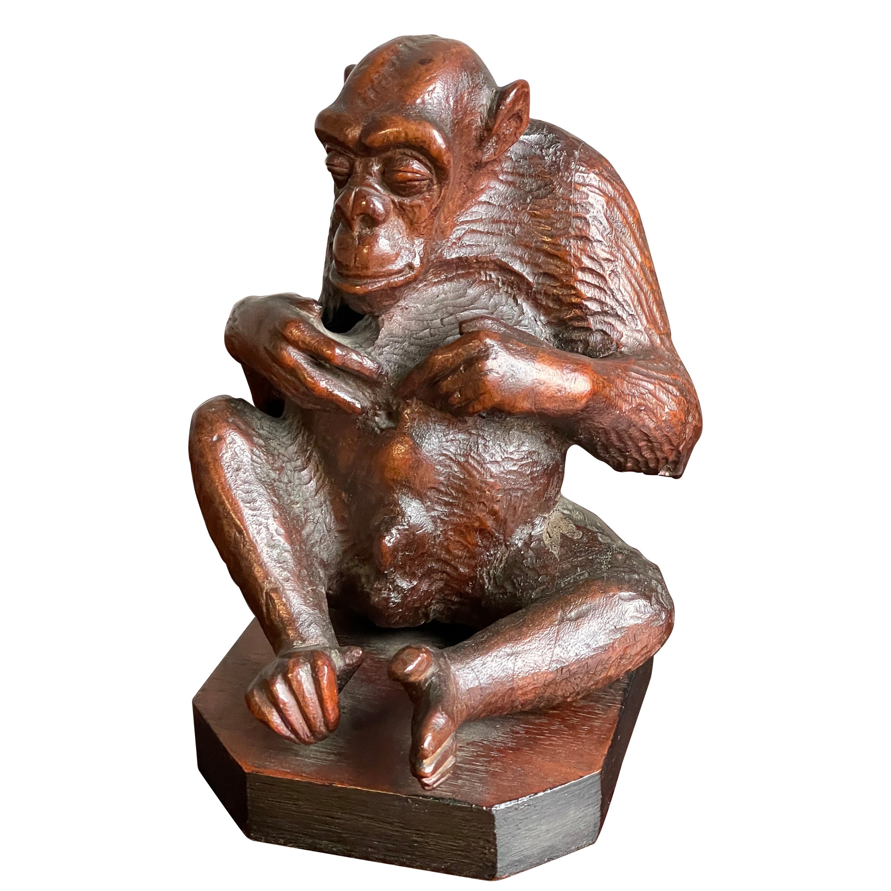 Rara e significativa scultura antica in legno di noce intagliata a mano, scimpanzé che guarda l'ombelico
