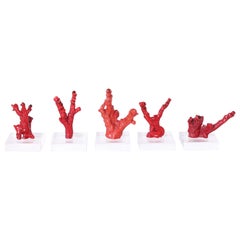 Group of Four Red Coral Specimens, Priced Individually 