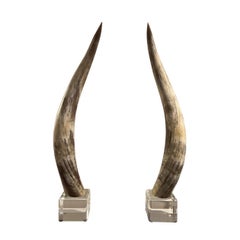 Pair, Oversized Mid-Century Modern Western Steer Horns on Lucite Mounts