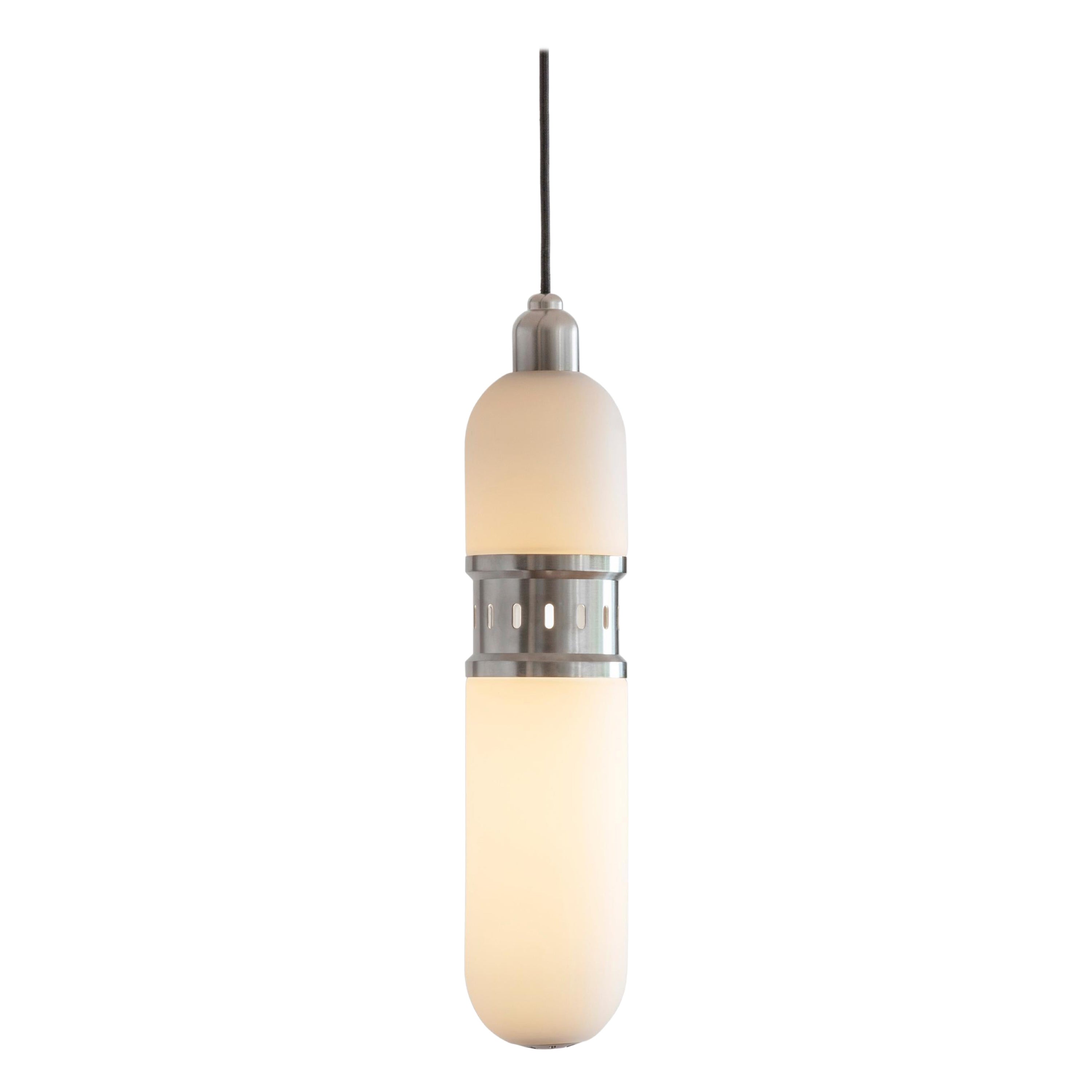 Occulo Nickel Pendant Lamp by Bert Frank For Sale