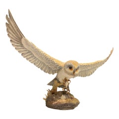 Large Porcelain "Barn Owl" by Boehm, Limited Edition
