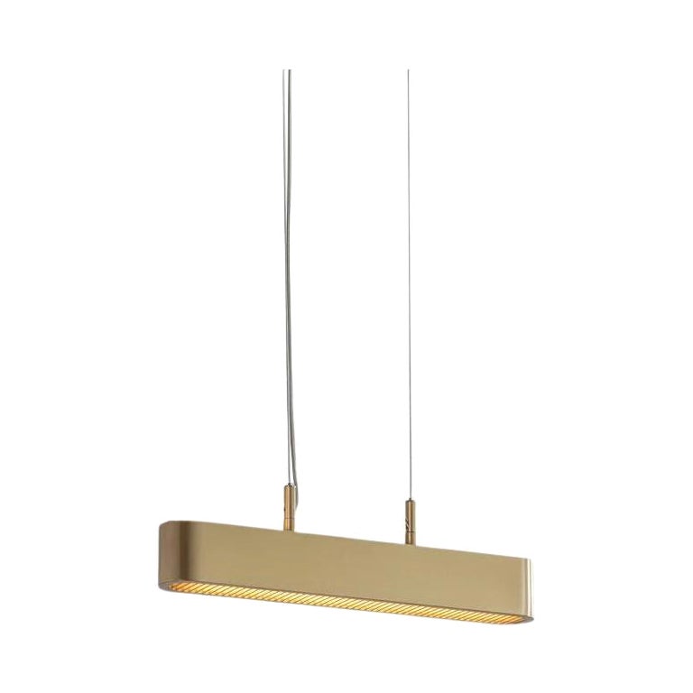 Colt Pendant Light Single by Bert Frank For Sale