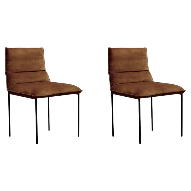 Set of 2 Jeeves Dining Chair by Collector For Sale