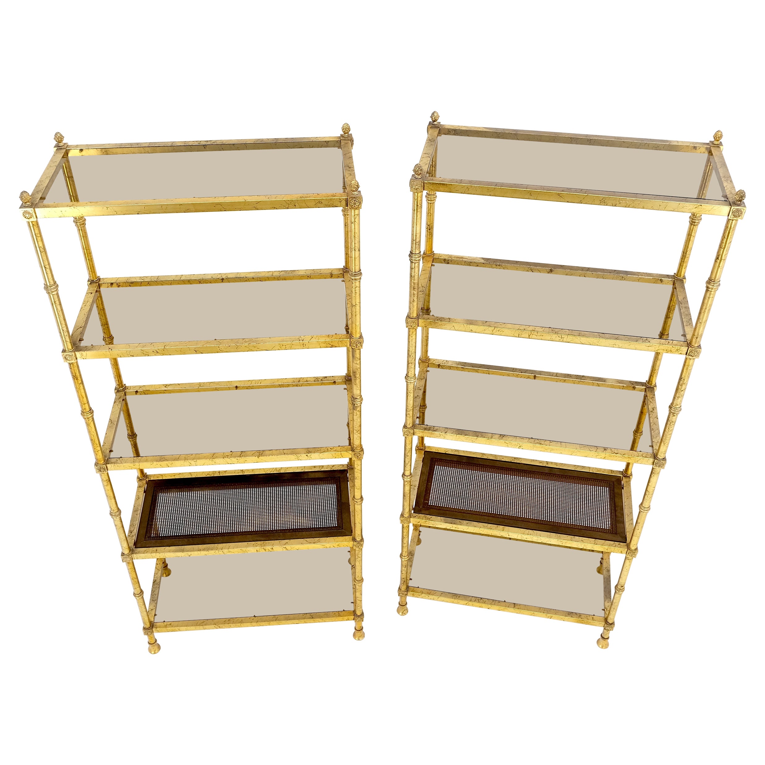 Pair of Gold Finish Cane & Glass Shelf Decorative Etageres Display Wall Units