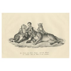 Original Antique Print of Lioness and Cubs with Her Trainer