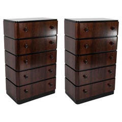 A Striking Pair of Indian Rosewood Chests of Drawers by Donald Deskey