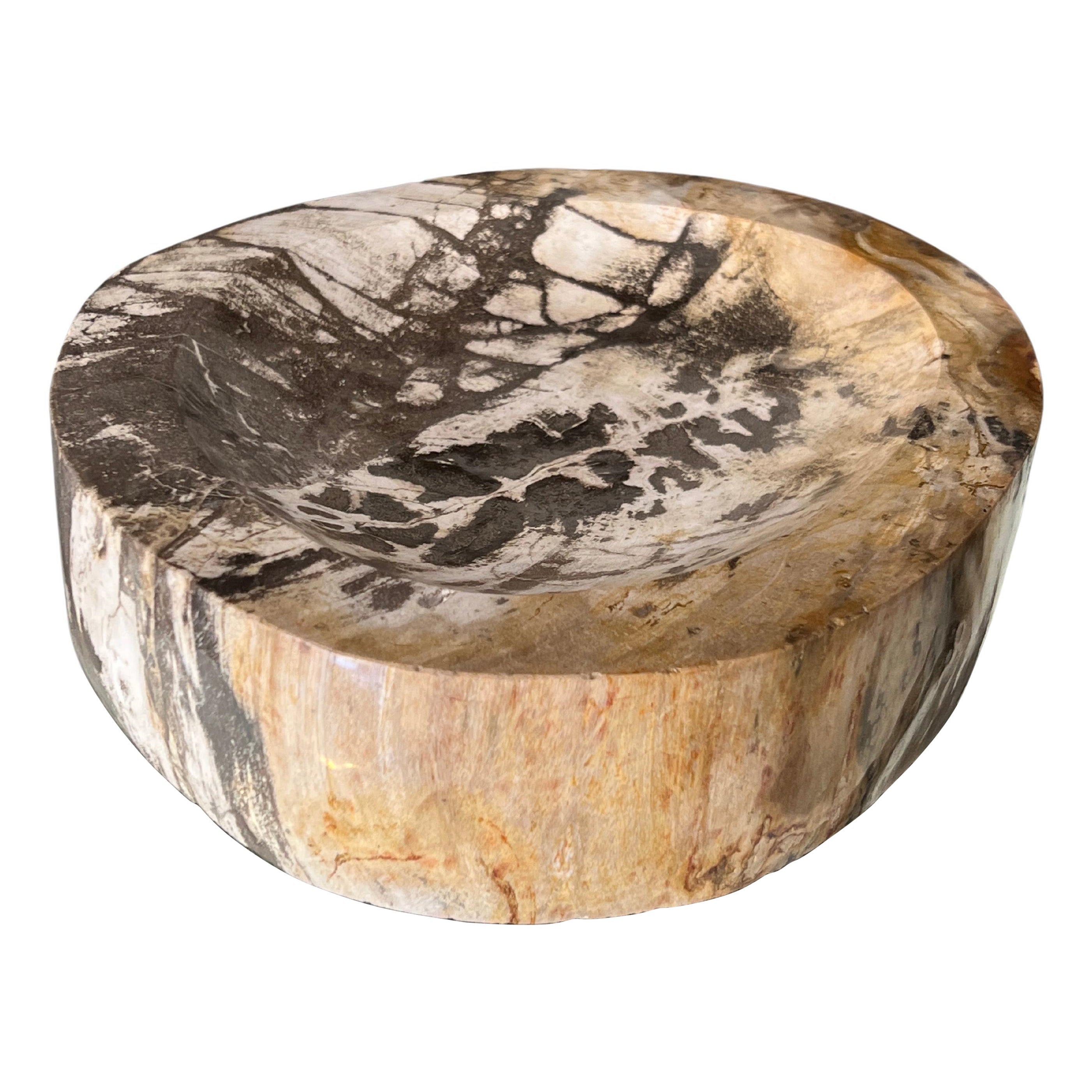 Petrified Wood Decorative Bowl with Natural Stripes in Beige & Grey, Indonesia