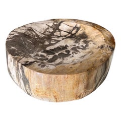Petrified Wood Decorative Bowl with Natural Stripes in Beige & Grey, Indonesia