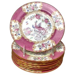 Vintage Set of 8 Minton Pink Cockatrice Luncheon, Dessert, or Salad Plates