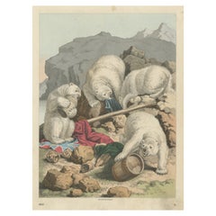 Antique Print of Polar Bears