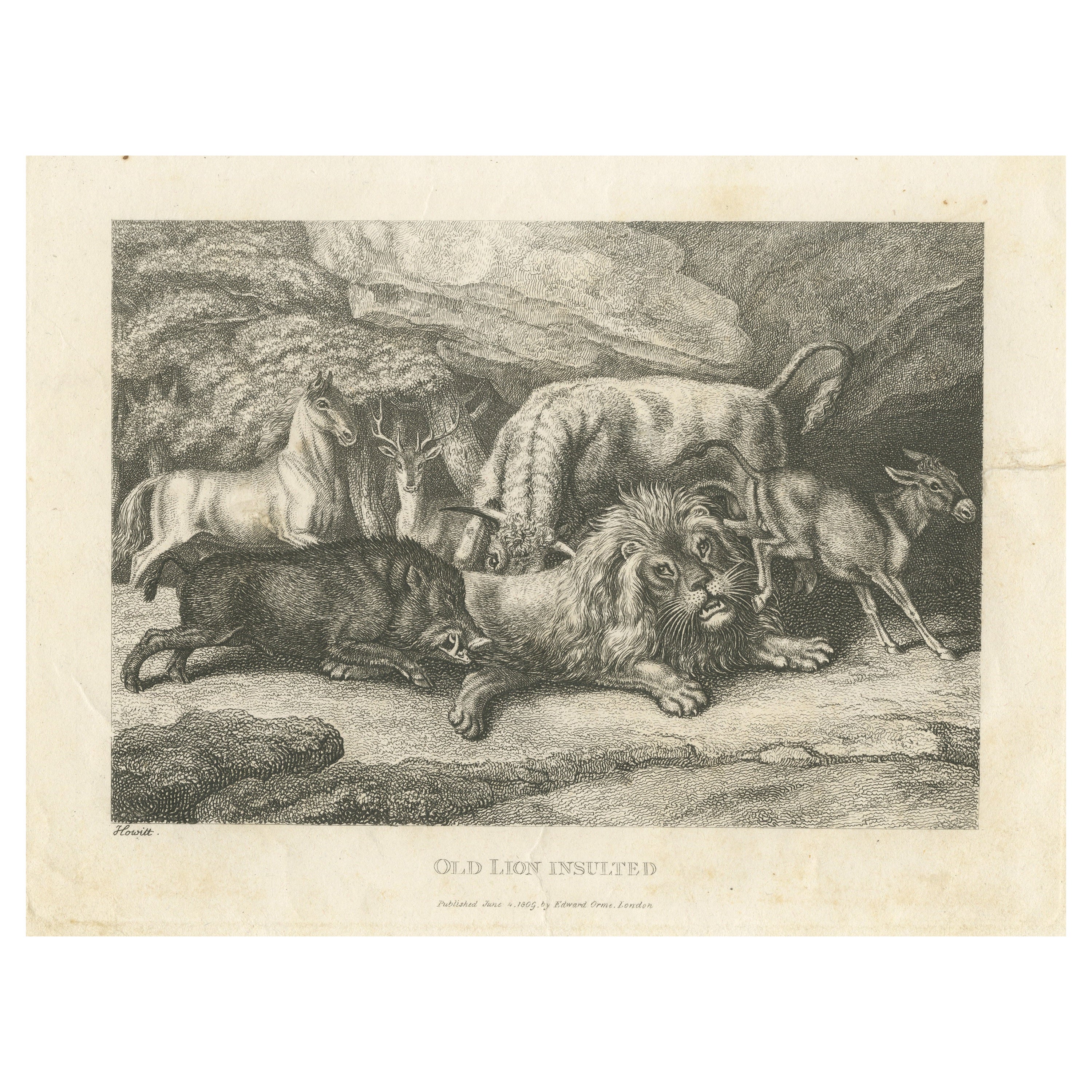 Original Antique Print of Old Lion Insulted For Sale