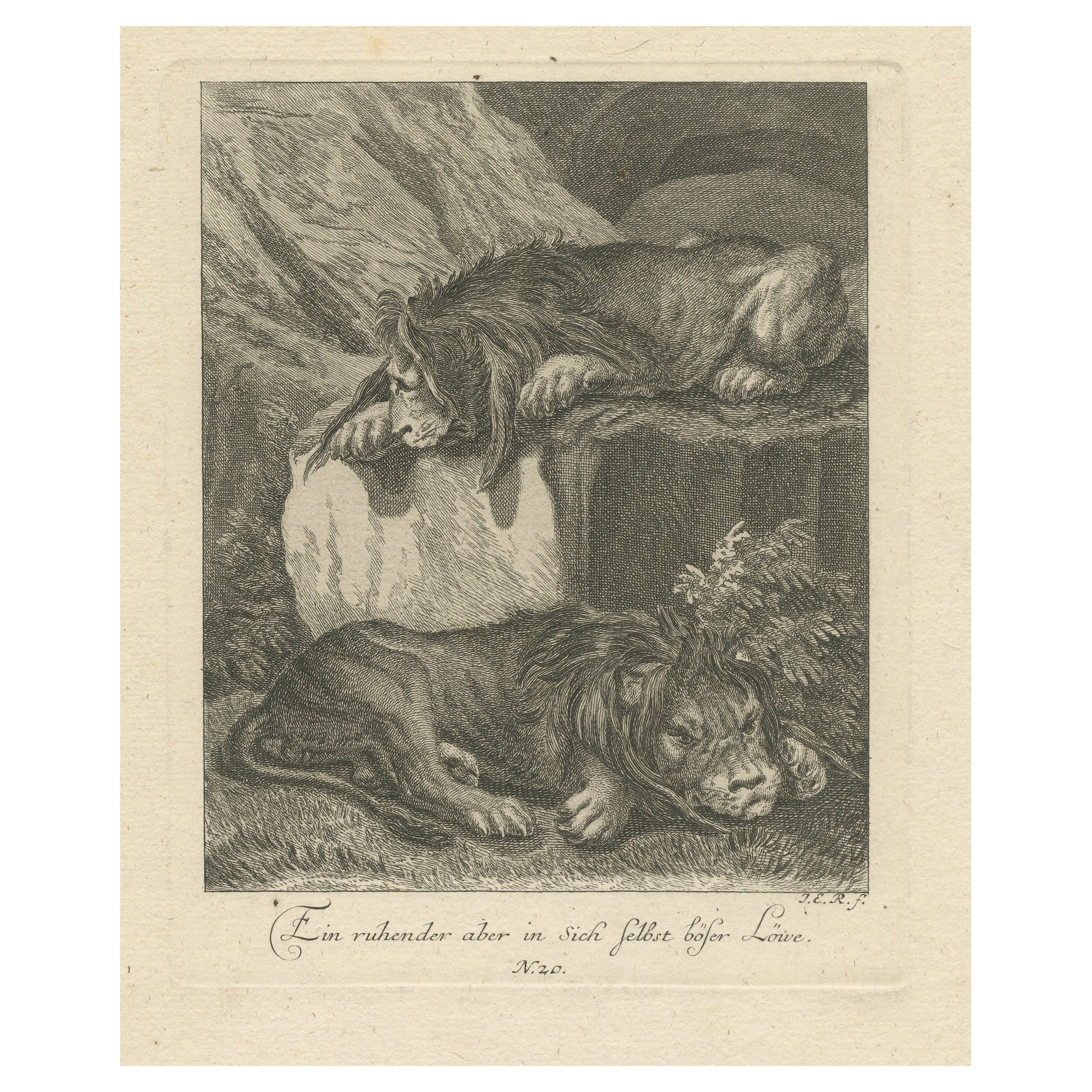 Original Antique Print of Two Lions Resting For Sale