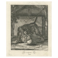 Original Antique Print of an angry Lion