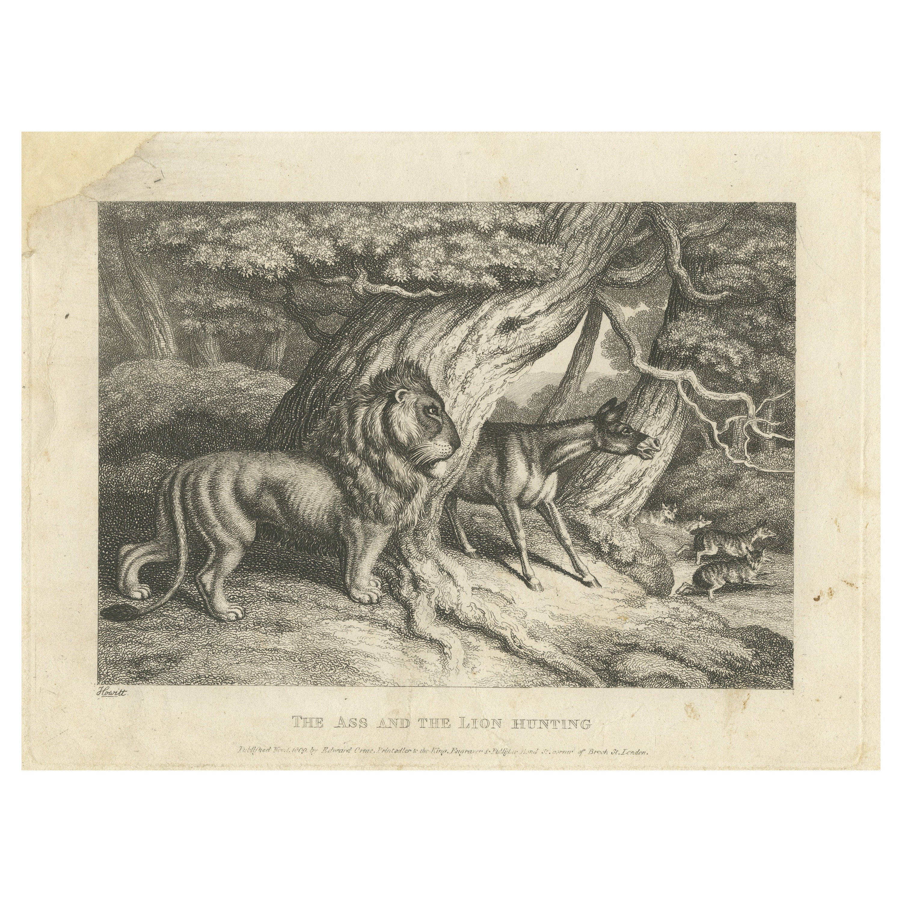 Original Antique Print of a Lion and Donkey hunting