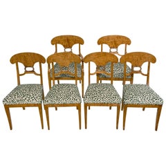 19th Century German Biedermeier Set of Six Birchwood Dining Room Chairs