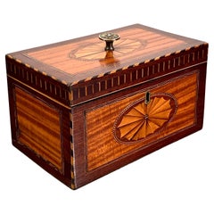 Tea Caddy Mahogany Satinwood, Ebony, Rosewood Boxwood Inlaid English George III