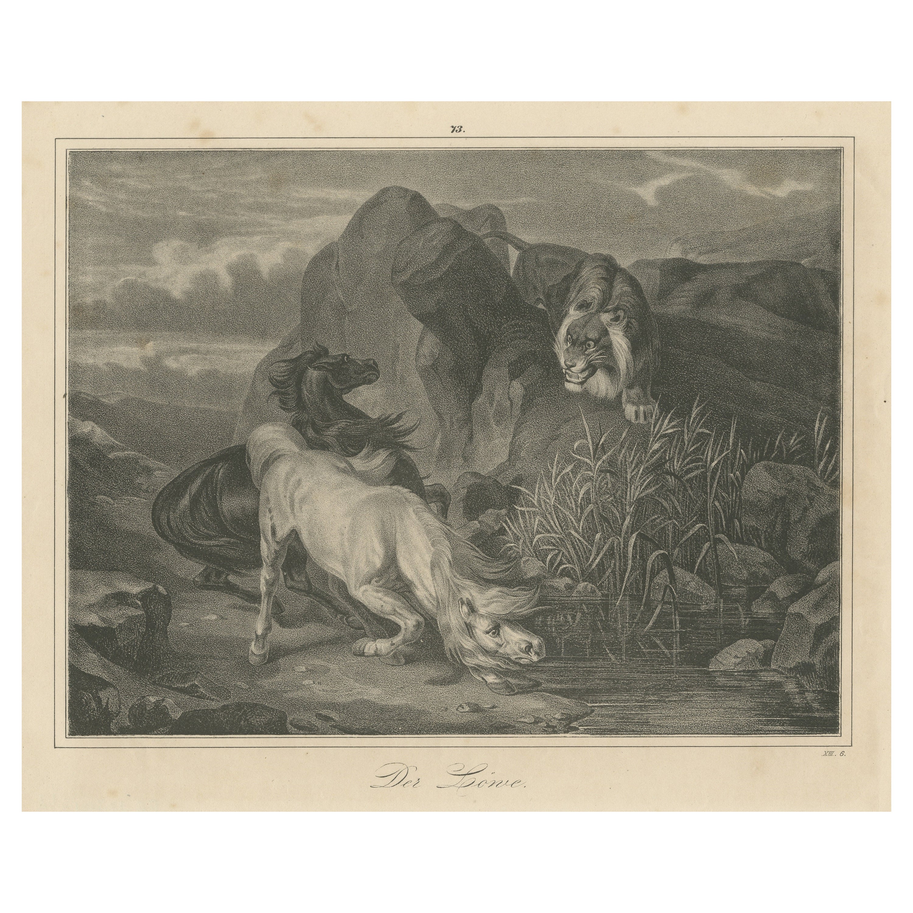 Original Antique Print of Lion Sneaking Up on Horses For Sale