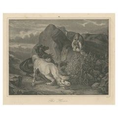 Original Antique Print of Lion Sneaking Up on Horses