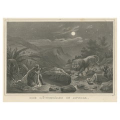 Antique Print of a Lion Hunt in Africa