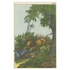 Lithographie ancienne colorée à la main d'un lion de chasse