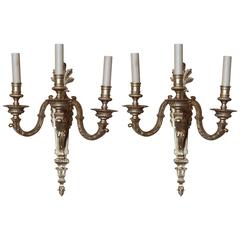 Pair of French Bronze Three-Candle Wall Sconces 4