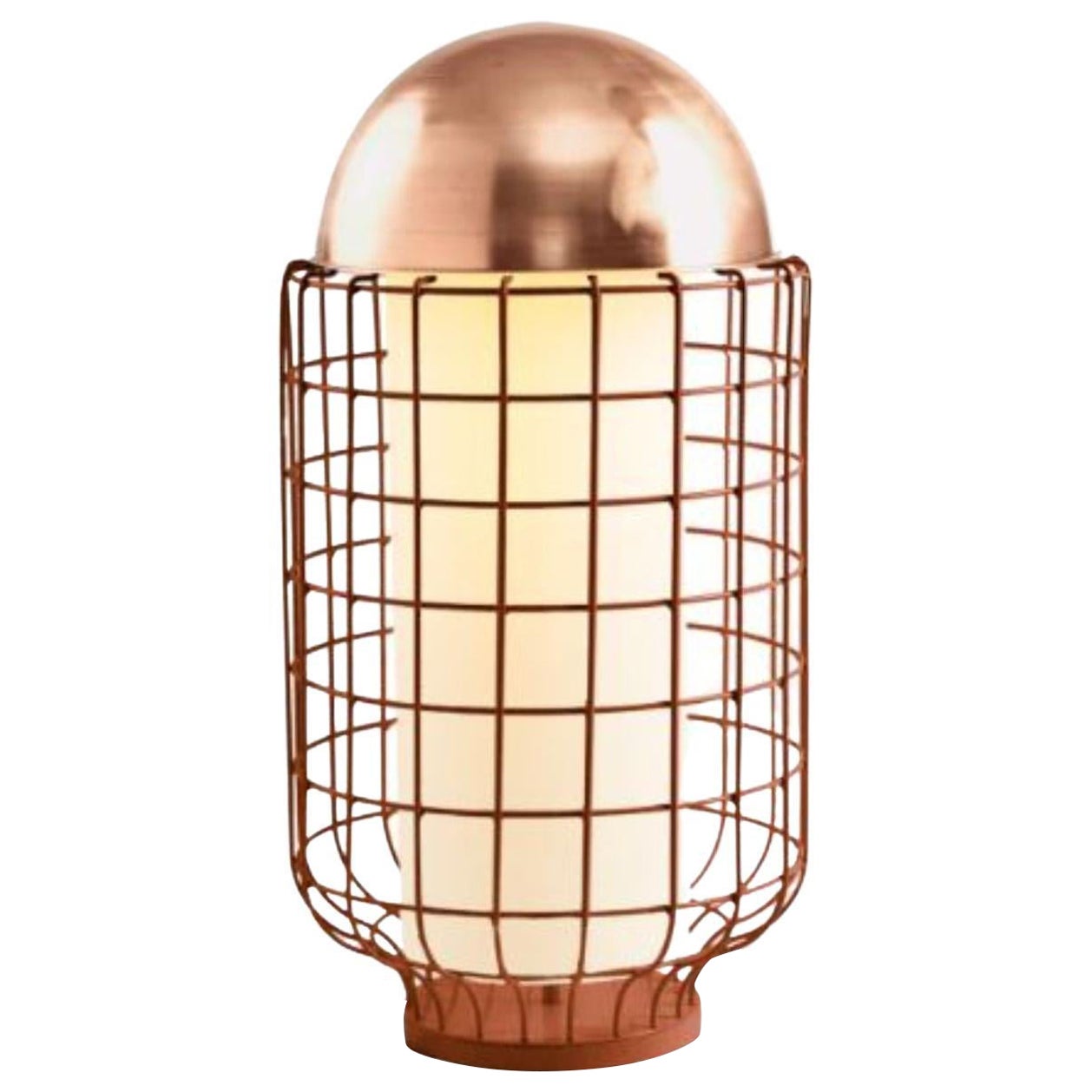 Copper Magnolia Table Lamp by Dooq For Sale