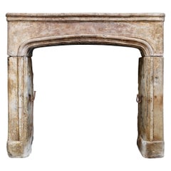 Antique 19th Century Fireplace of French Limestone in Style of Louis XIV