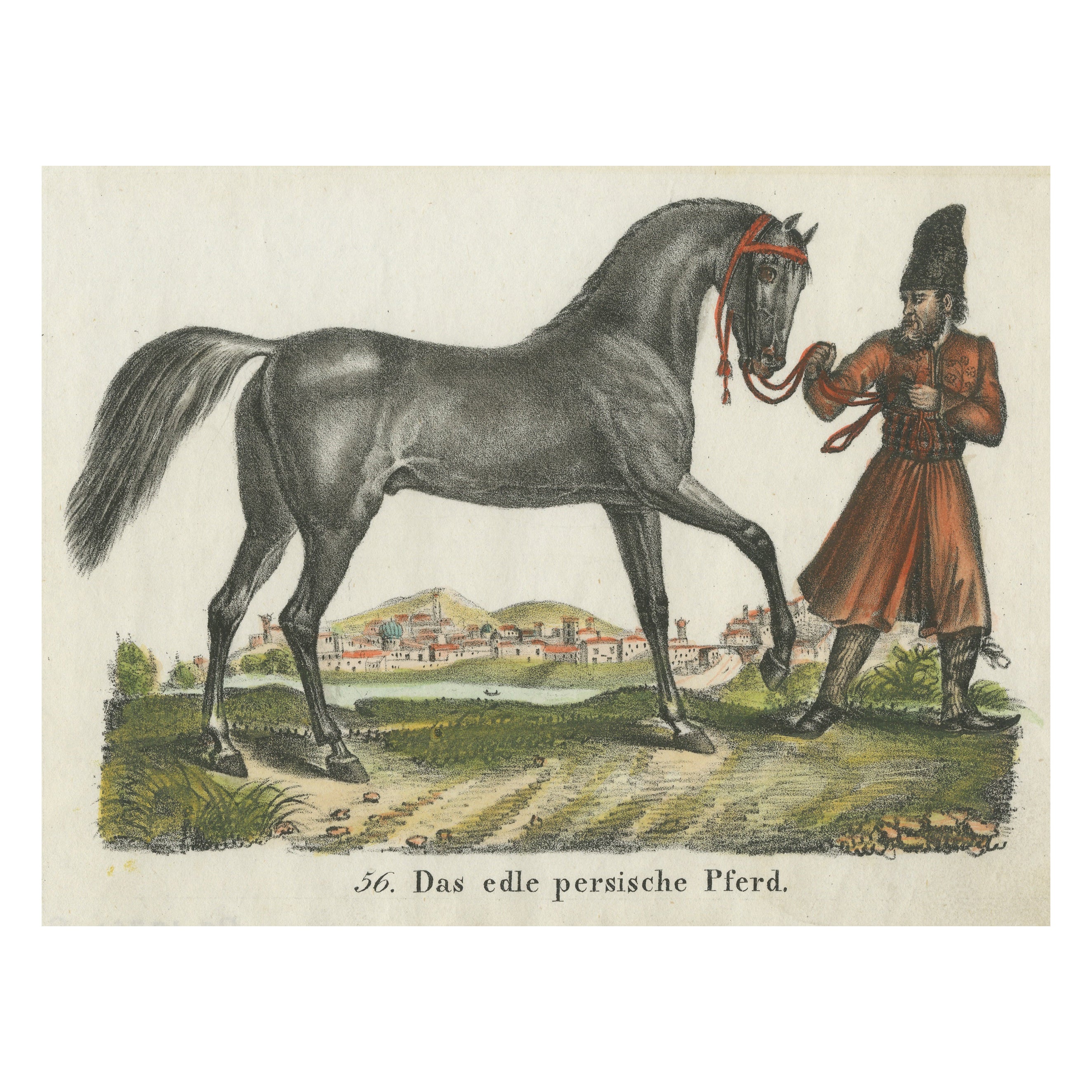 Antique Print of Persian Horse For Sale