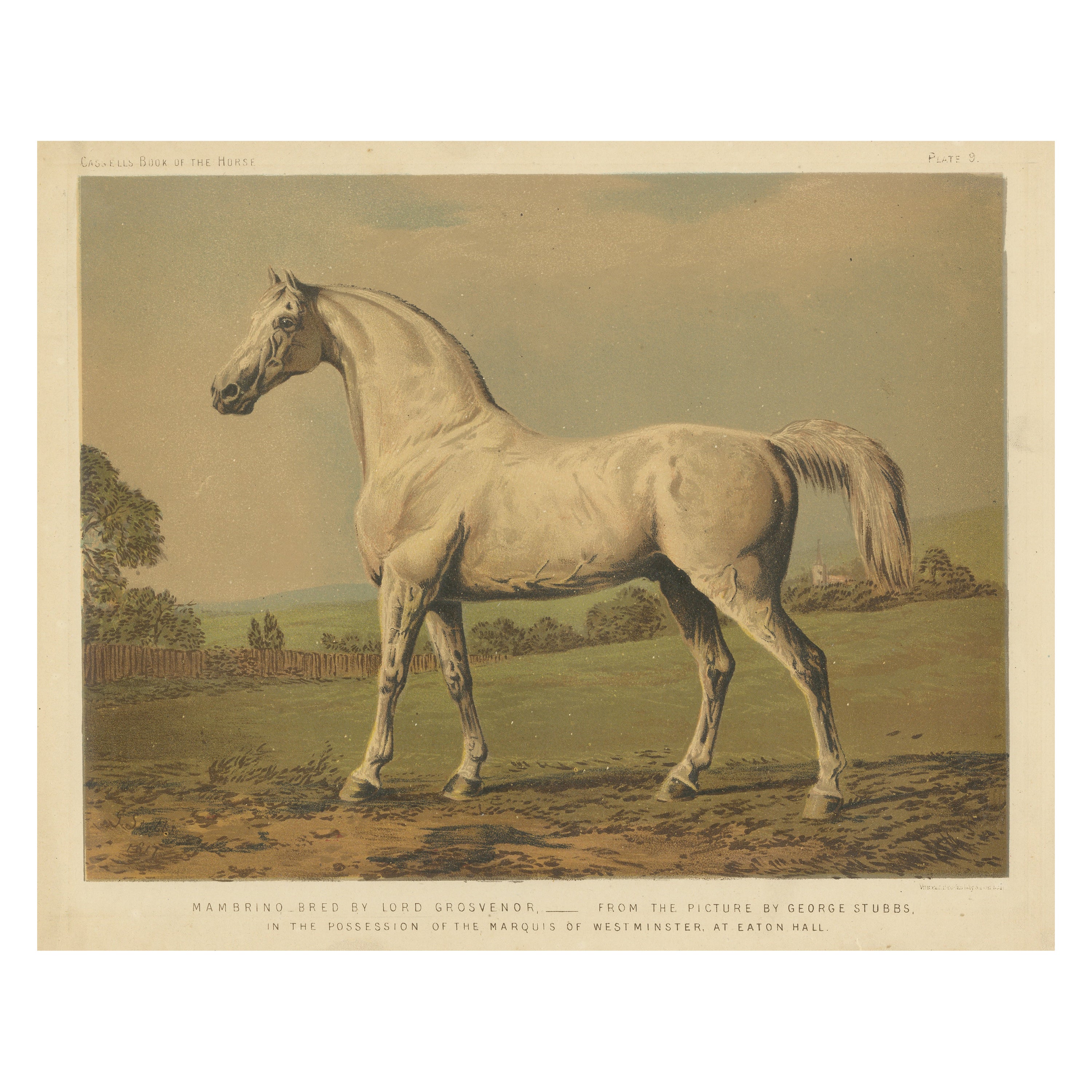 Antike Chromolithographie von Mambrino, grauer Vollblut-Reiterpferdchen im Angebot