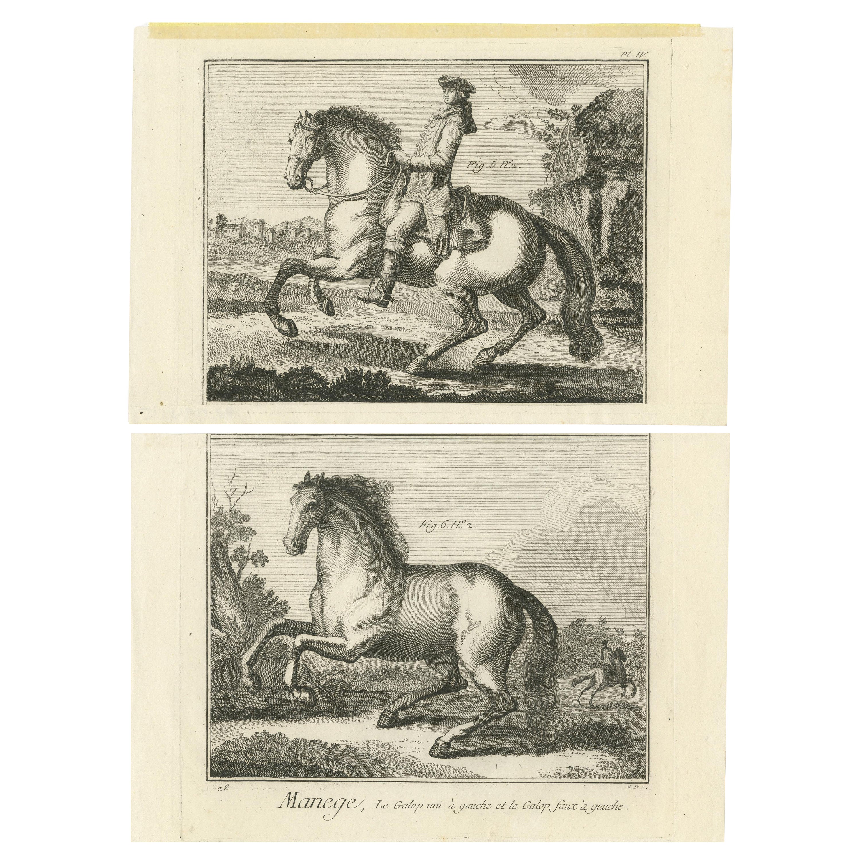 Ensemble de 2 estampes anciennes d'équitation de chevaux : United Gallop & Disunited Gallop 