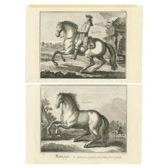 Set von 2 antiken Drucken von Pferden auf dem Reit: United Gallop & Disunited Gallop 