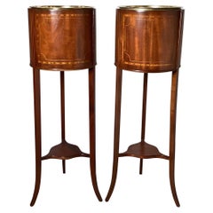 Élégante paire d'assiettes rondes en acajou et bois de satin, vers 1900