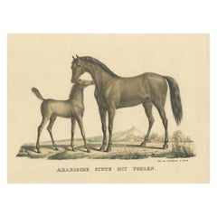 Antique Horse Print of an Arab Mare and Foal
