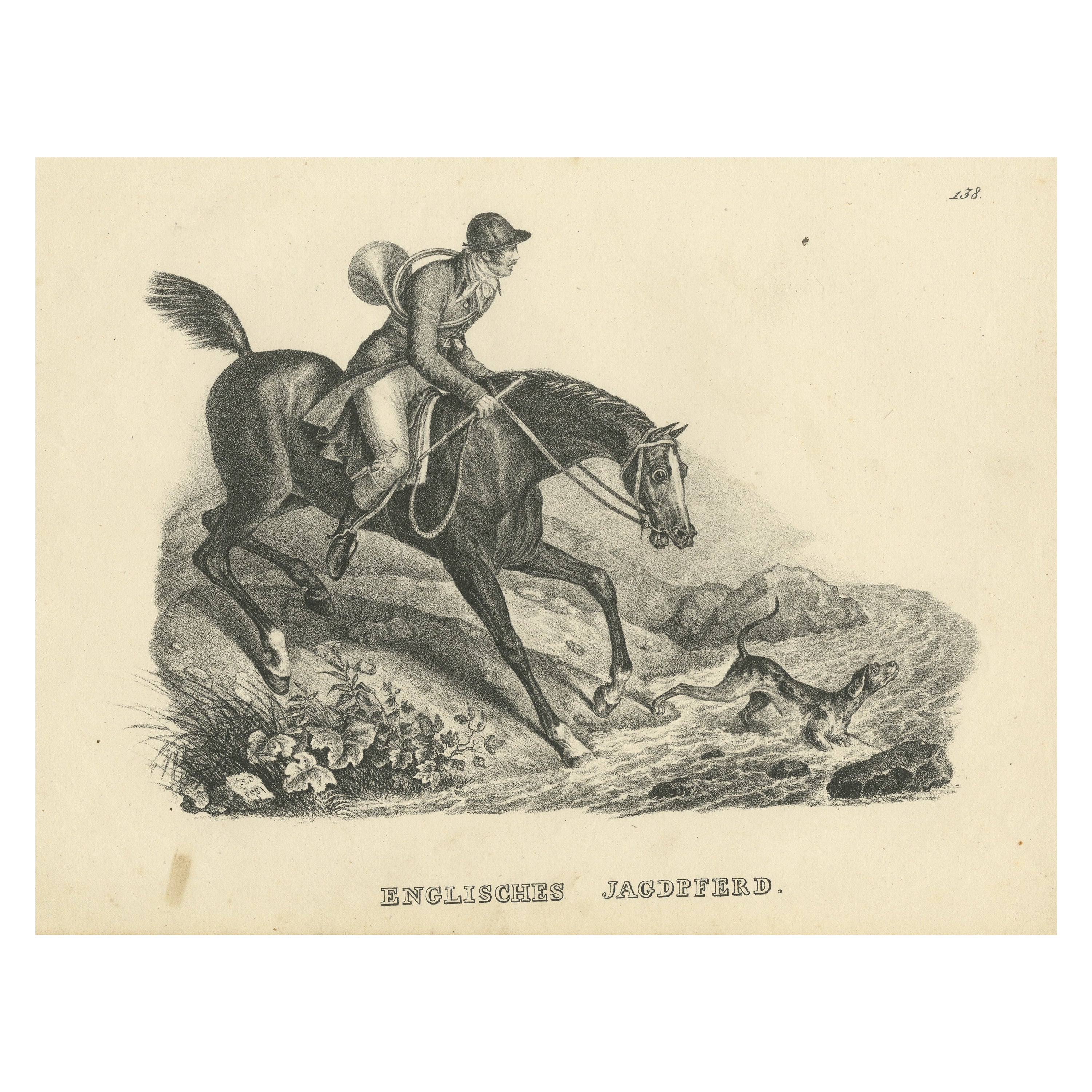 Estampa antigua de un caballo de caza inglés