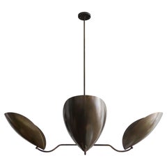 Chiton-4 Chandelier by Gallery L7