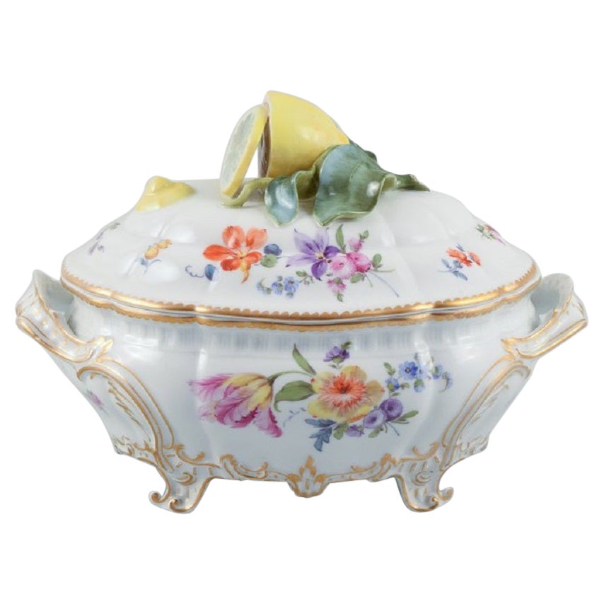 Nymphenburg, Germany, Hand-Painted Porcelain Lidded Tureen, Approx. 1930s For Sale
