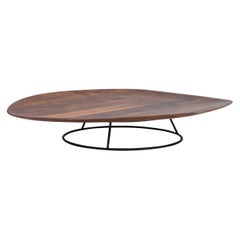 Nathan Young for Ligne Roset Walnut Pebble Low Coffee Table
