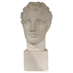 French Plaster Bust of a Classical Roman Male