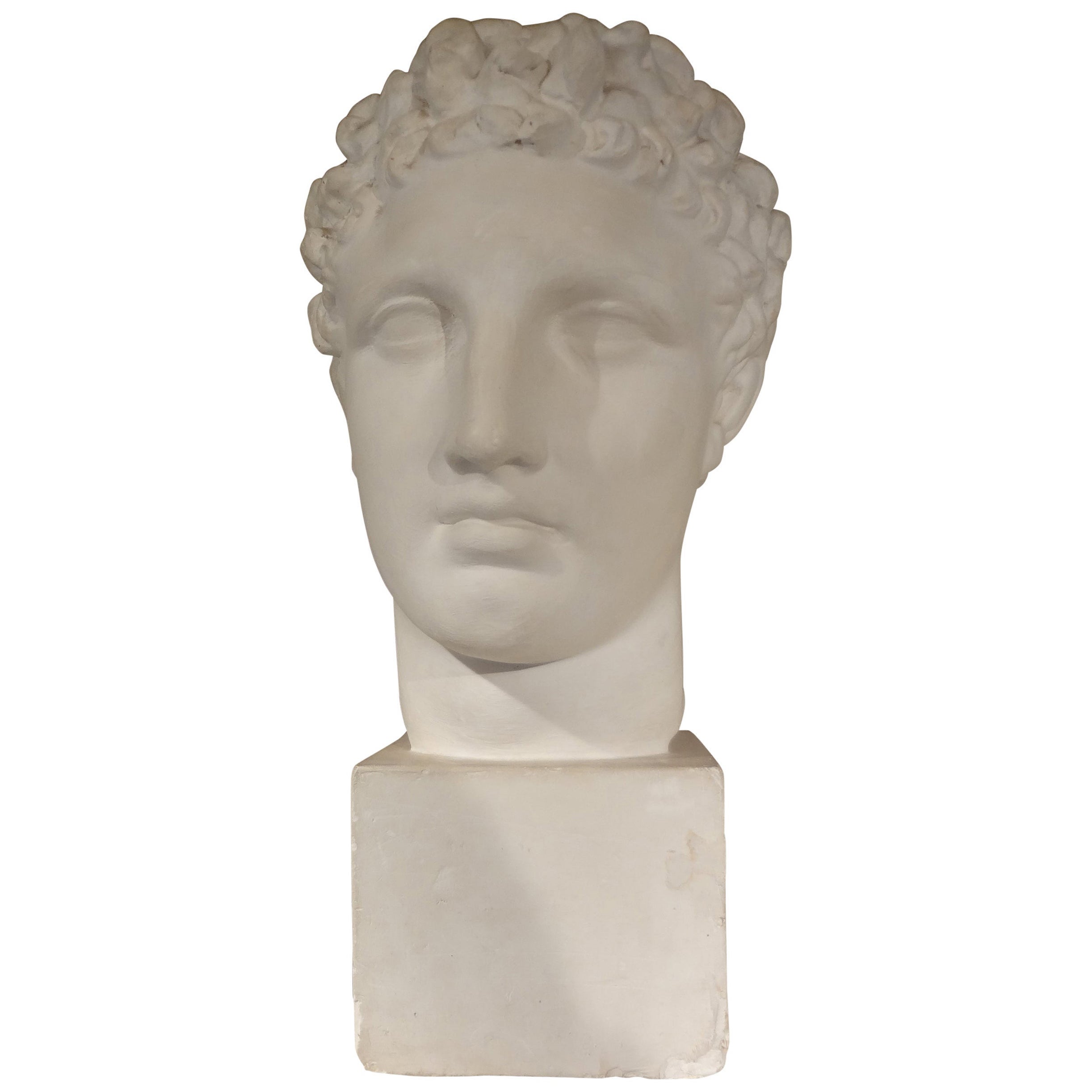 Buste en plâtre français d'un homme romain classique