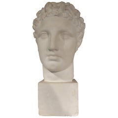Antique French Plaster Bust of a Classical Roman Male