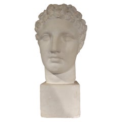 Busto francés de escayola de varón romano clásico