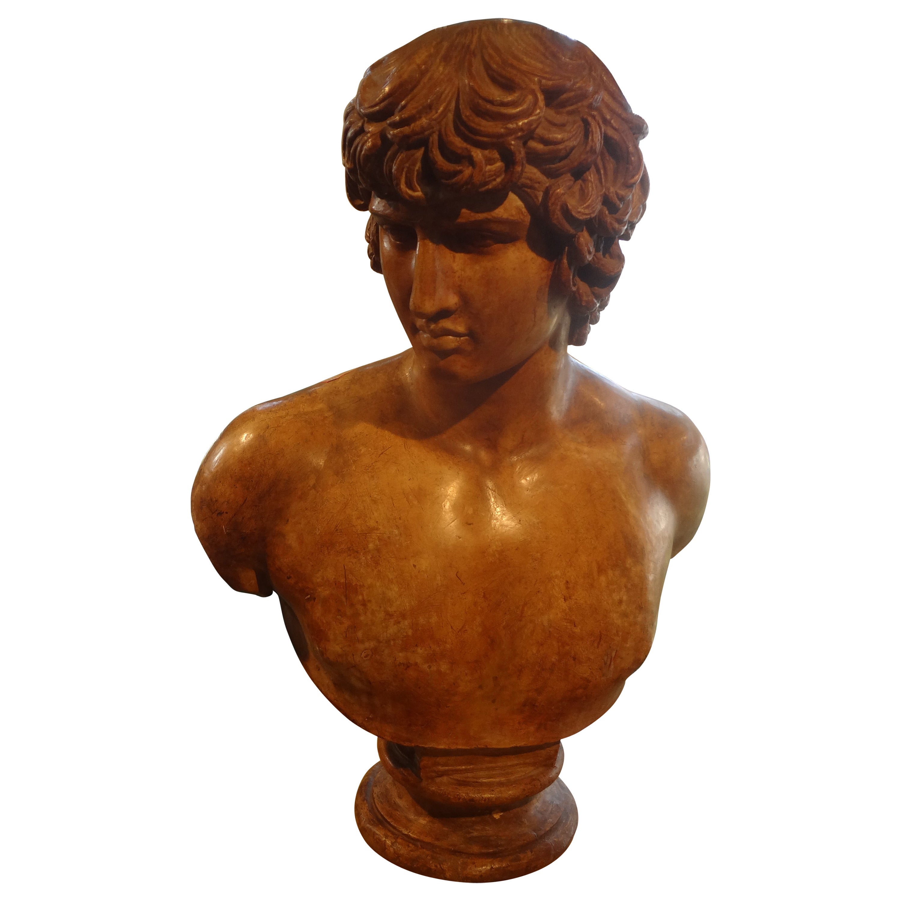 Buste d'homme classique en terre cuite italienne du 19e siècle