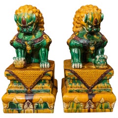 Large Pair of Chinese Foo Dogs on Plinths