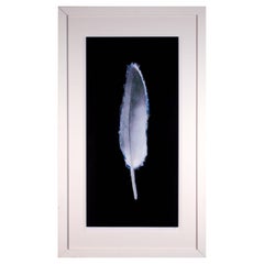 Georg Vihos Feather Signed Contemporary Mixed Media on Paper 2007 Framed
