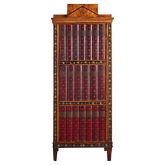 Used Unusual German Neoclassical Cabinet with Faux-Book Spine Decorated Door