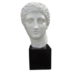 Buste d'homme classique en porcelaine française