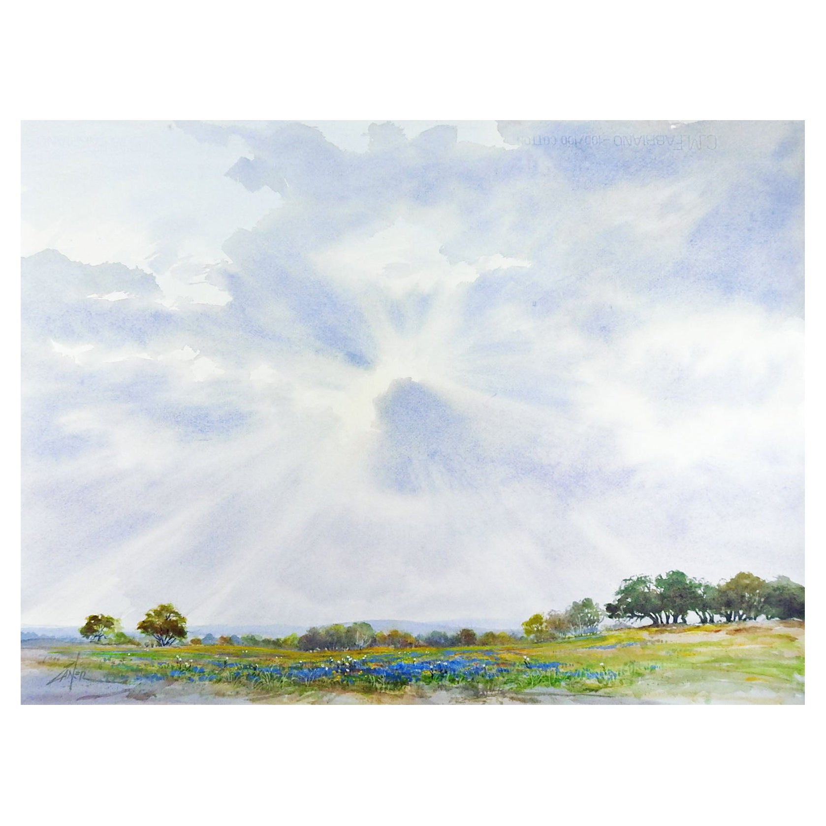 Bill Zaner Bluebonnet Watercolor Landscape Painting For Sale